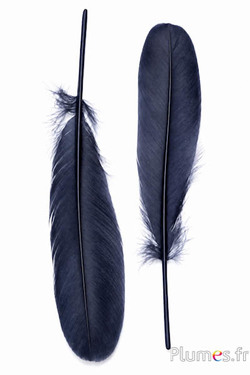Cigno seta - 25-30 cm - antraciete